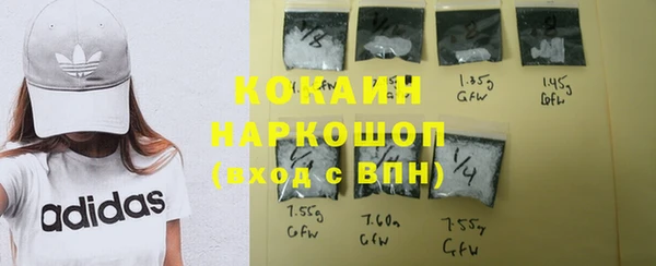 СК Бородино