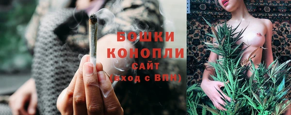 СК Бородино