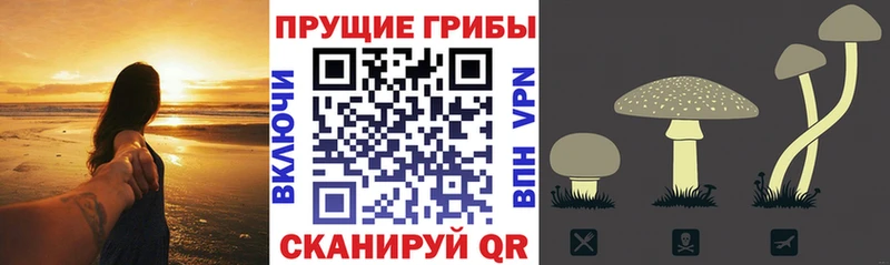 Псилоцибиновые грибы GOLDEN TEACHER  Верхняя Тура 